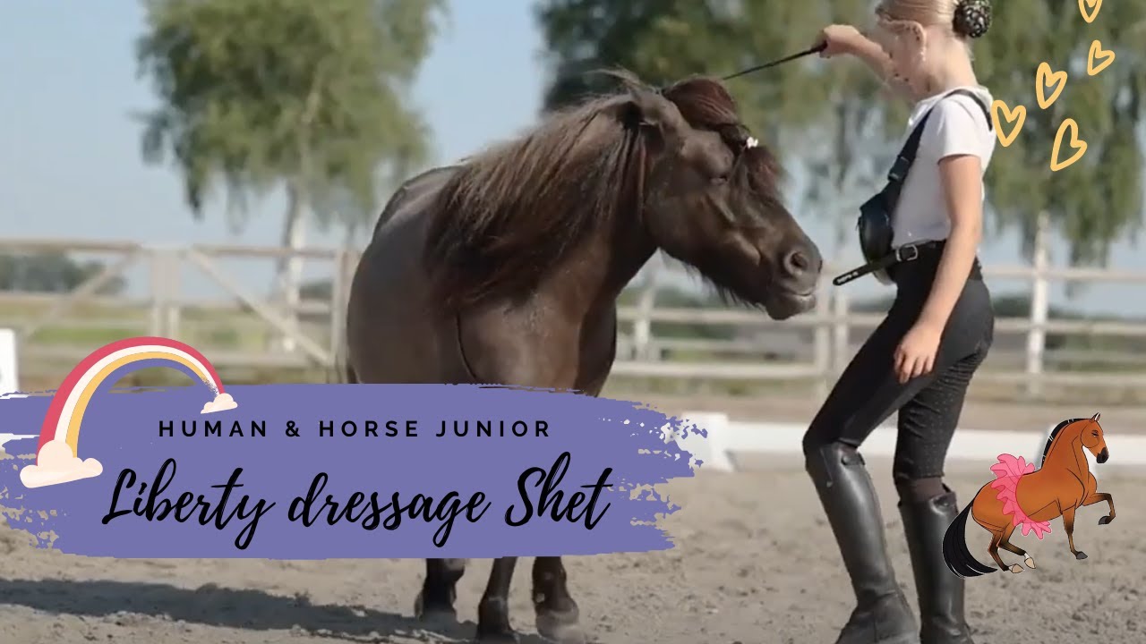 LIBERTY DRESSAGE WITH DA VINCI 🖤🌛