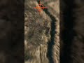 FPV sport targets