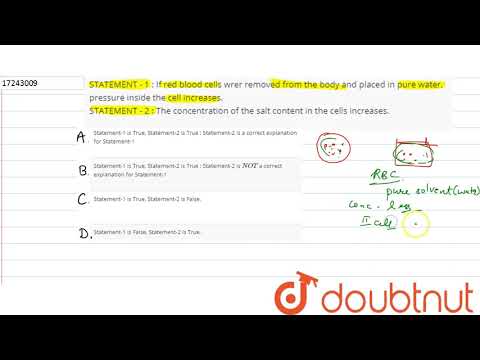 Each question contains