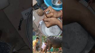 Milking Foley Sound Making | Filmmaker ram