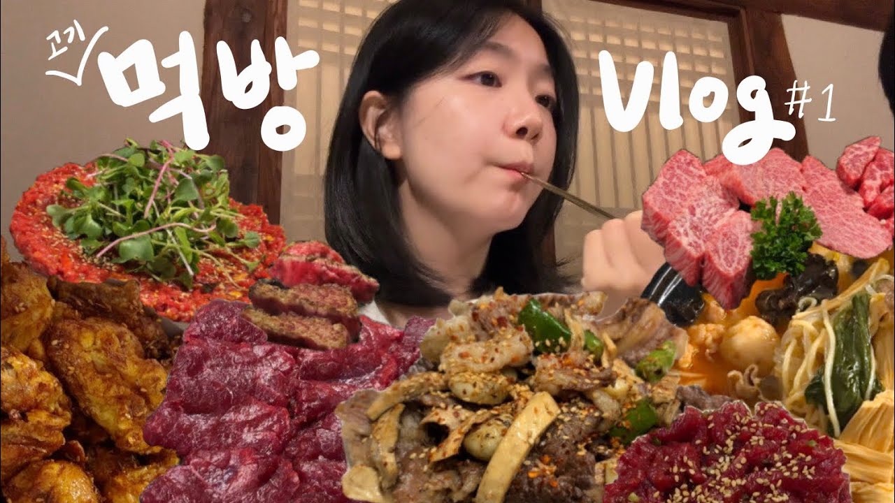 [먹방브이로그#1] 대구에 각종 고기 맛집은 여깁니다 여기 (대구 뭉티기, 육회, 한우, 쯔란윙봉 치킨, 마라탕)