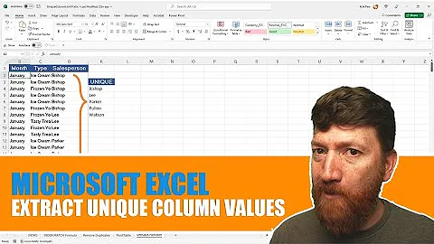 Microsoft Excel - Extract a Unique List of Values from a Column