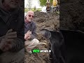 Mastering Backfill Techniques for Safe Construction
