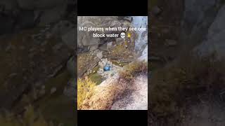 So true 😮‍💨🤚 #minecraft #shorts #memes #reddit