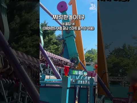 부산에서 용인 에버랜드로 당일치기 가능?🎠