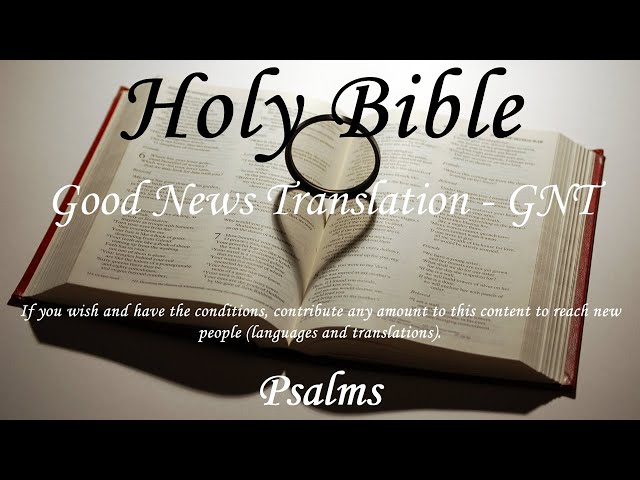 Good News Bible: Today's English Version by American Bible