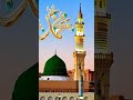 Muhammad Nabina #islamichistory #love #islamicstoriesinurduandhindi #qoumeloot #duet #allahkamojza