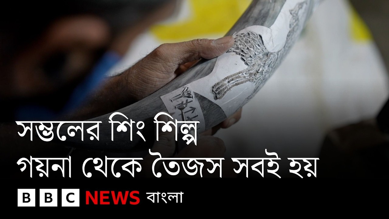 পশুর শিং থেকে যেভাবে গয়না ও তৈজসপত্র বানান সম্ভলের কারিগররা | BBC Bangla
