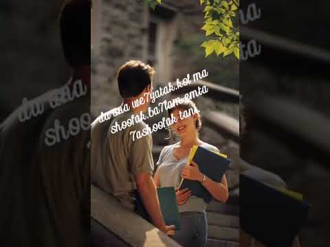 حالات وتس عمرو دياب دانا وحياتك كل مشوفك احلم امت هشوفك تانى حالات وتس 