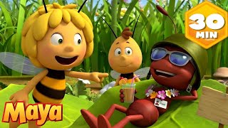 ¡Las hormigas se van de vacaciones! 🏖️ La Abeja Maya 🐝 Episodios Completos | Dibujos para Niños