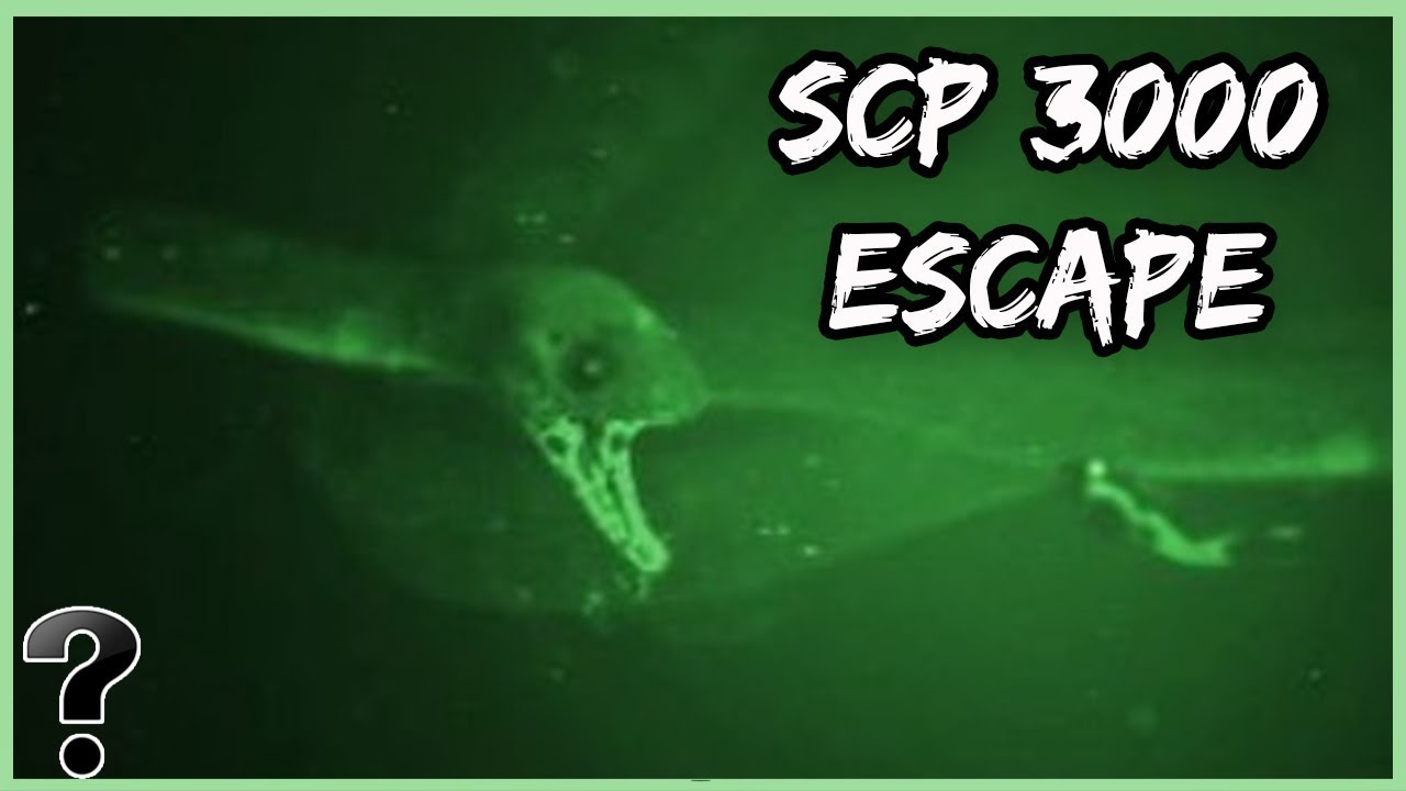 What If SCP 3000 Escaped? 