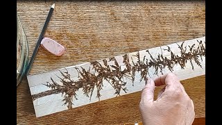 How to wood burn a spruce tree