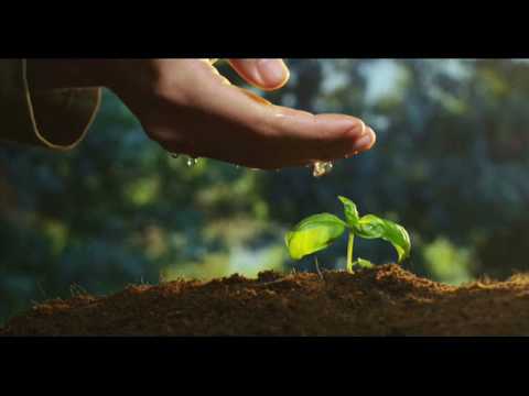 الذي يزرعه الانسان اياه يحصد أيضا