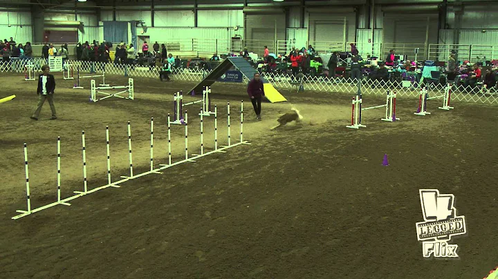 Red and Amanda Smelser 20" Hybrid AKC NAC 2016