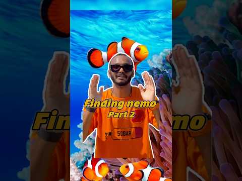 الجزء الثاني رحلة البحث عن السمكة نيمو غوص Diving Scubadiving 