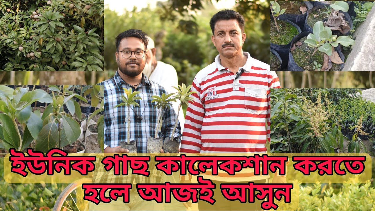 ইউনিক গাছের সেরা কালেকশান পেয়ে যাবেন এই 29 বছরের পুরোনো নার্সারীতে | Kumar Kusum Kari Nursery
