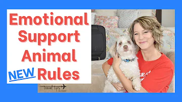 Can an airline deny an emotional support dog?