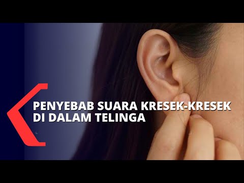 Penyebab dan Cara Mengatasi Suara Kresek-Kresek di Dalam Telinga