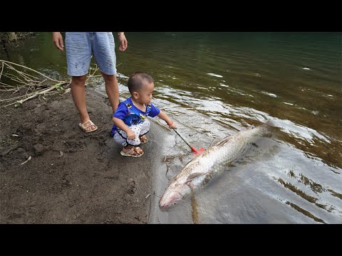 single mom - Find catch fish for food - Survival