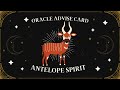 Pick A Card | Advise Oracle Card - Antelope spirit