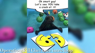 Operation: kill Chet haze intro loop (I made this for myself :P)