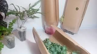 картинка: Я в шоке! Посылочка с папоротниками.