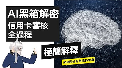 数据科学家揭露：AI审核信用卡，竟有惊天秘密？！ - 天天要闻