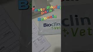 Carrapato pode virar Babesiose!! Doença silenciosa e perigosa. Temos o teste rápido para diagnóstico