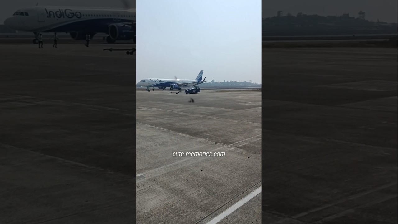 Indigo bus service from airplane to check out at Goa airport | #goaairport #dabolim #goatourism