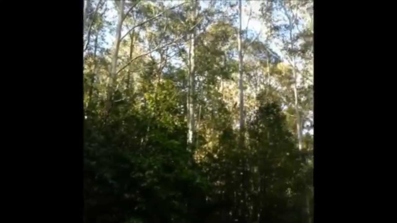 ATV Quad biking fail