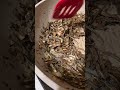 salsa d charales muy ami estilo ok delisioso