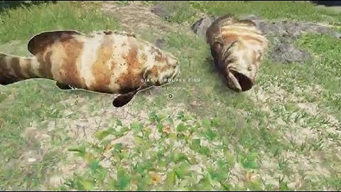 Stranded Deep Walkthrough Day 17-18: Giant Grouper fish.