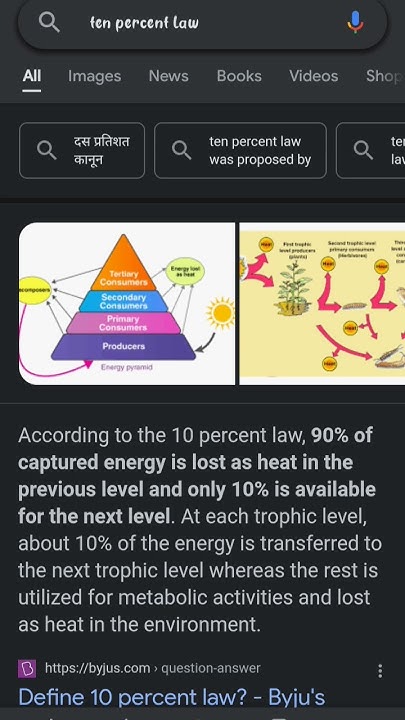 ten-percent-law-class-10-youtube