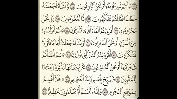 الشيخ محمد علي السلاموني// سورة الواقعة// 1443