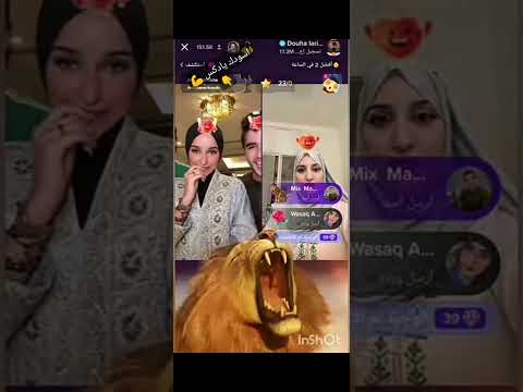 هبهب