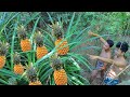 Find Wild Pineapple for Eat to Survival