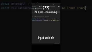 Day 19: JavaScript Nullish Coalescing Operator Explained