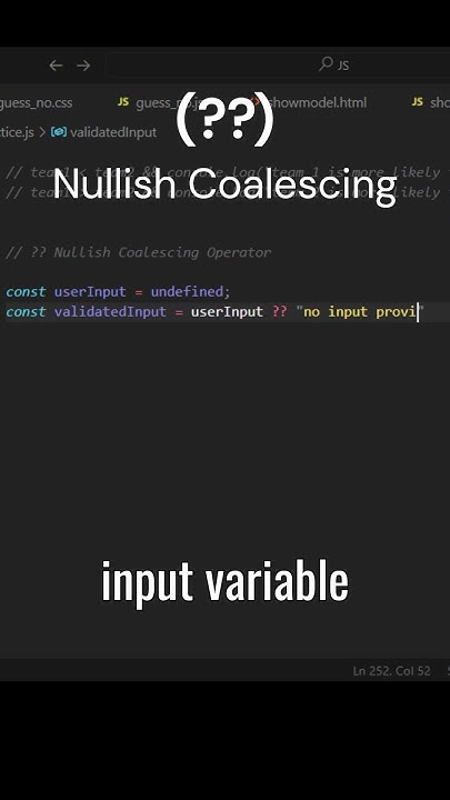 Day 19: JavaScript Nullish Coalescing Operator Explained - YouTube