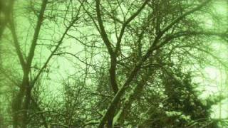 Cheryl Studer Sings Daphne Ich Komme, Grünende Brüder Richard Strauss