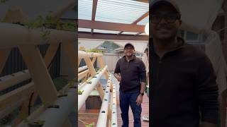 DIY A-Frame Hydroponic System | Solar-Powered Off-Grid NFT Garden Build 🌱☀️ #shorts