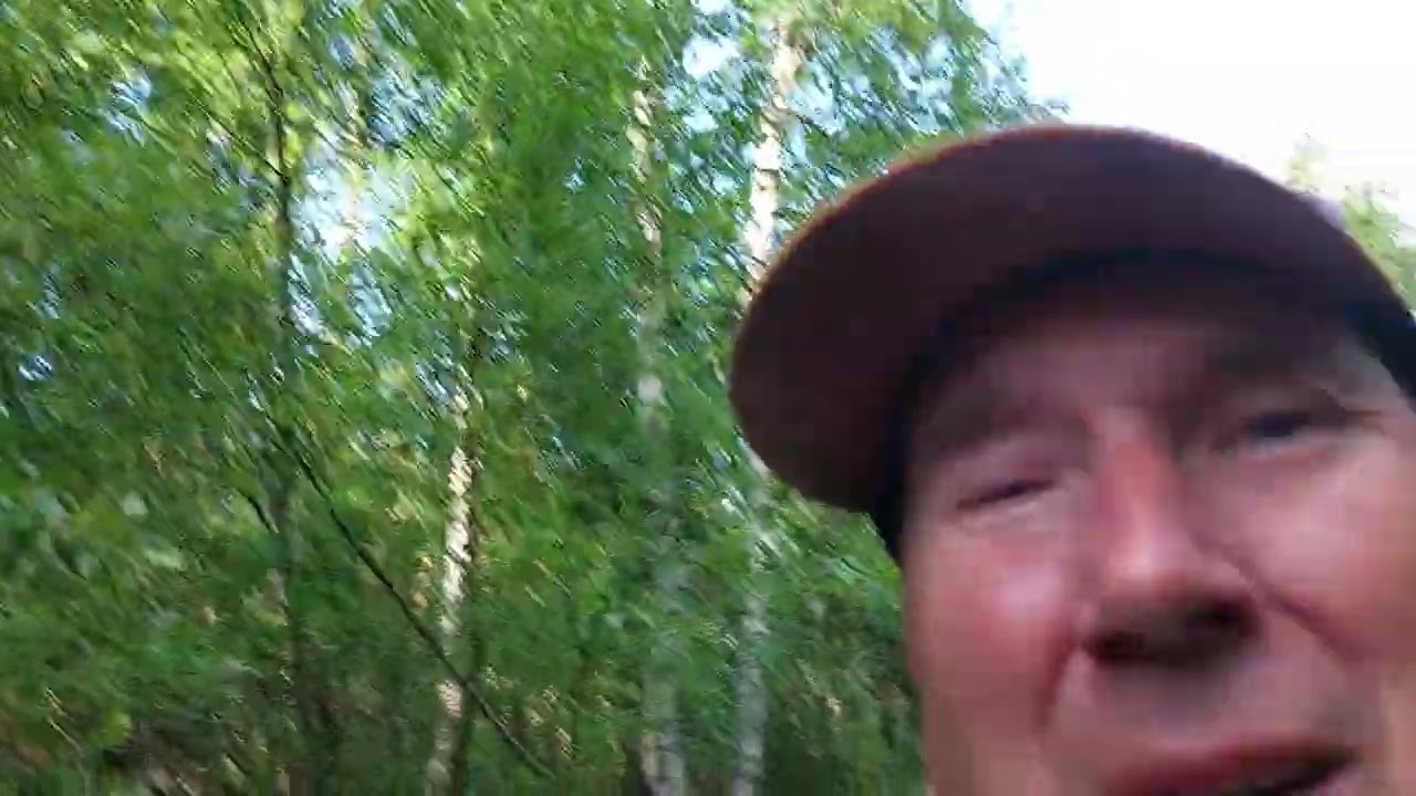 Traktoripolkua raivaamassa!