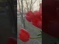 Ранок 8 березня.Зі святом ВЕСНИ, дорогі дівчатка!❤️#shorts