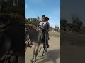 سعود ياسين الجولان 3 