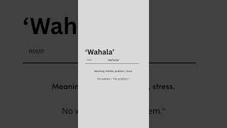 Nigerian Slangs You Should Know 🇳🇬 | Words & Meanings Explained | wahala #NigerianSlang #Nigeria