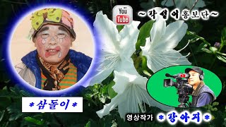 삼돌이 / 2023 경산 자인단오제. 달봉이공연단