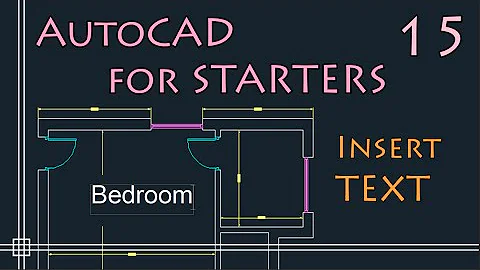 AutoCAD 2D - Insert TEXT