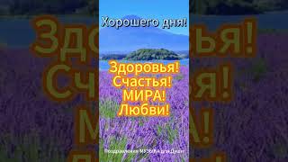 Тебе мой ПРИВЕТ! Хорошего Дня! My GREETINGS to you! #добрыйдень #поздравлениямузыкадлядуши