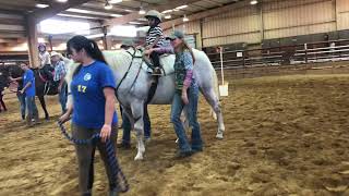 PATH Therapeutic Riding Instructor Certification test
