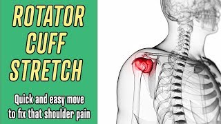 Quick Rotator Cuff Exercise by Dr. James Vegher 20,320 views 6 years ago 7 minutes, 23 seconds