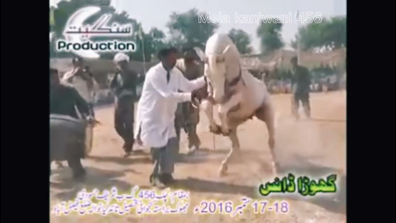 hors dance.ustad Allah dittah mohl.ghoda nach.punjabi mela.kanjwani Mela.ravi.گھوڑاناچ